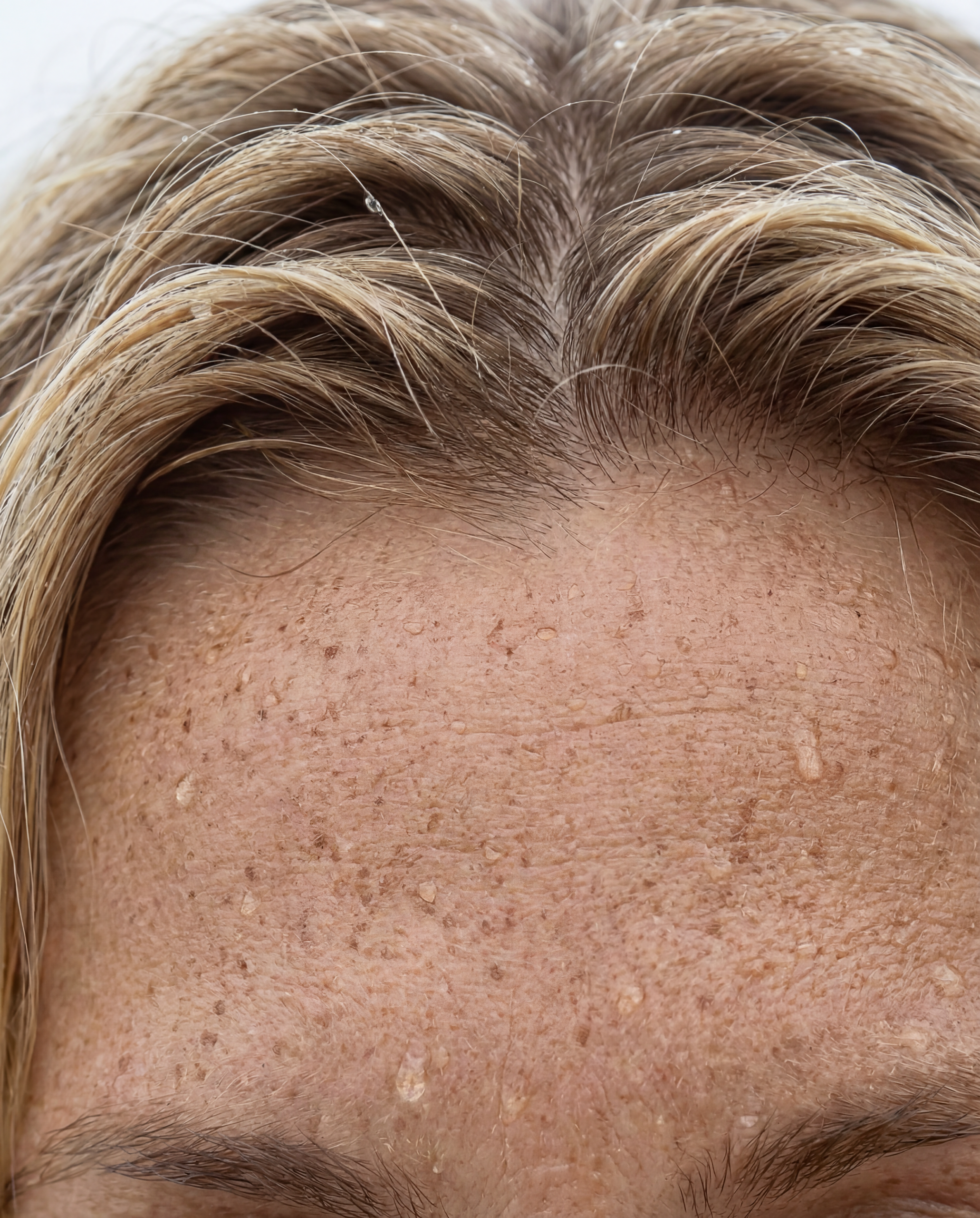 Fios de cabelo — strand-by-strand rendering